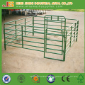 Australia & New Zealand Farm Used Galvanized Pipe Cattle Fence Panel